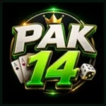 PAK14 Game
