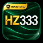 HZ333 Game