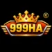 999HA Game